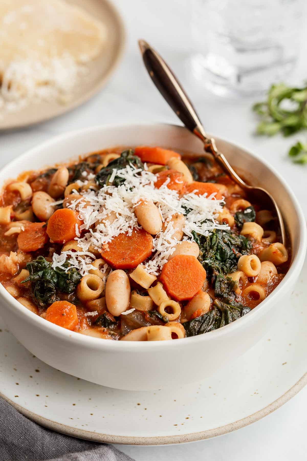 Vegetable Pasta Soup Recipe
