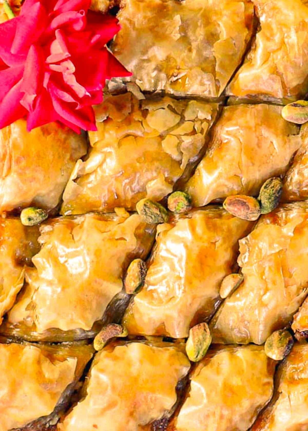 Turkish Baklava Recipe From Scratch