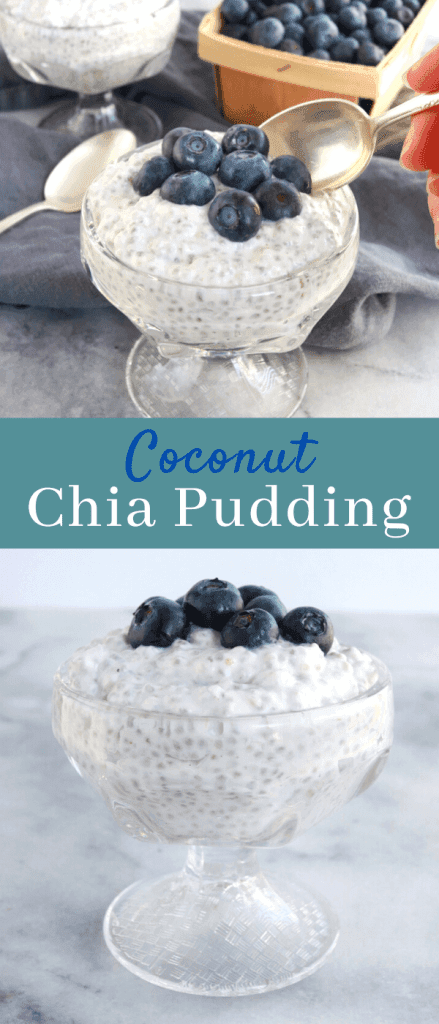 Coconut Chia Pudding Recipe