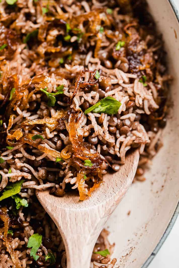 Lebanese Style Mujaddara Recipe