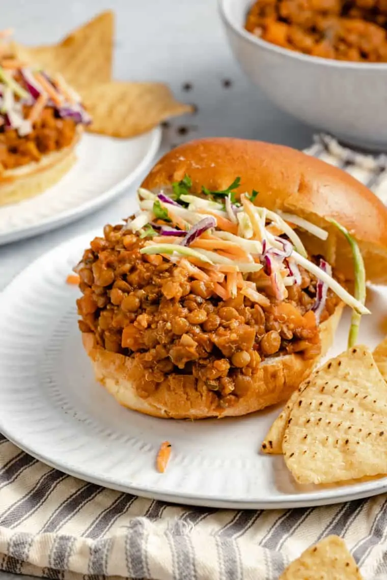 Vegetarian Sloppy Joe Recipe