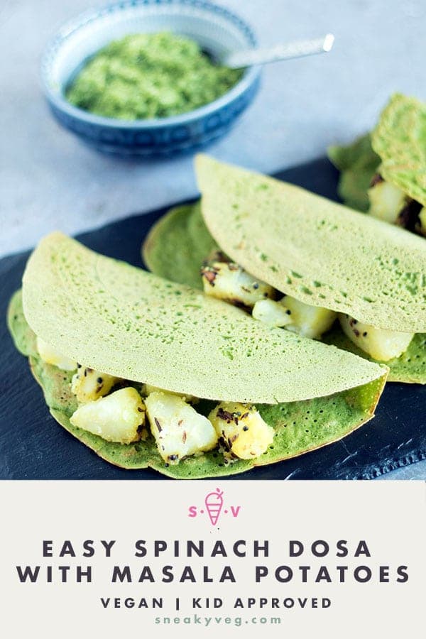 Spinach Coriander Dosa Recipe - Spinach and Coriander Dosa Recipe