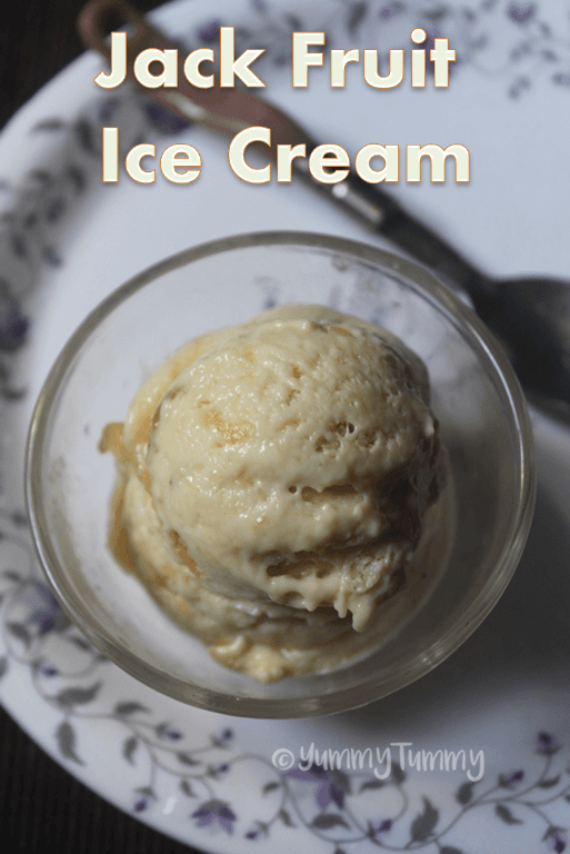 Vegan Jackfruit Ice Cream Recipe With Coconut Milk